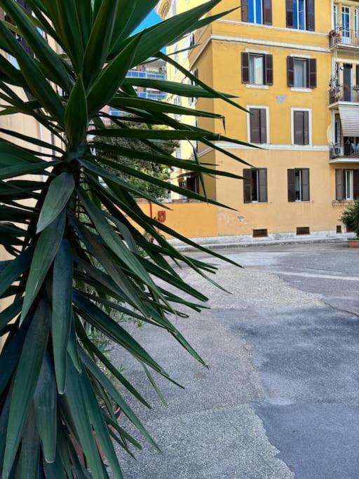 La Casetta Trastevere Řím Exteriér fotografie