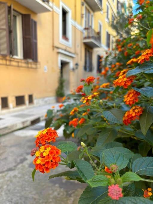 La Casetta Trastevere Řím Exteriér fotografie